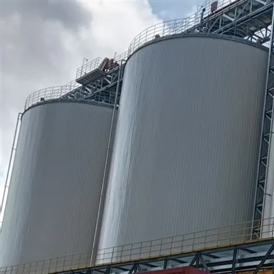 Flat Bottom Silo
